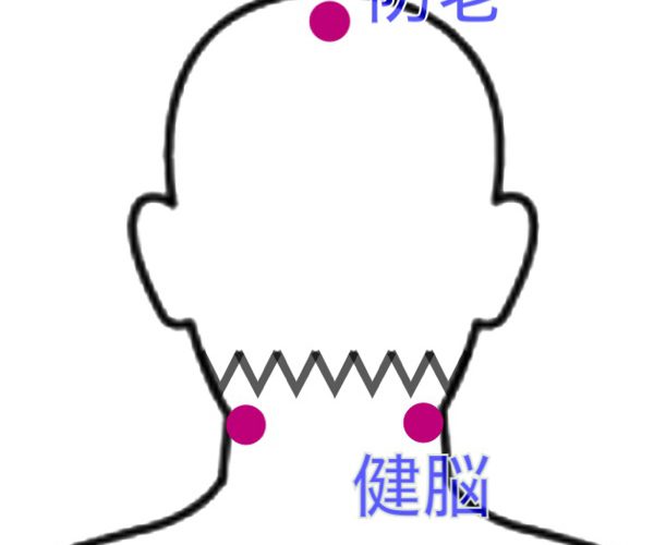 薄毛・脱毛症の鍼治療〜閻三針(エンサンシン)のツボ解説