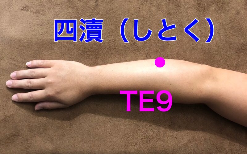 【ツボ解説】四瀆(しとく)TE9 〜コリを緩めるツボ