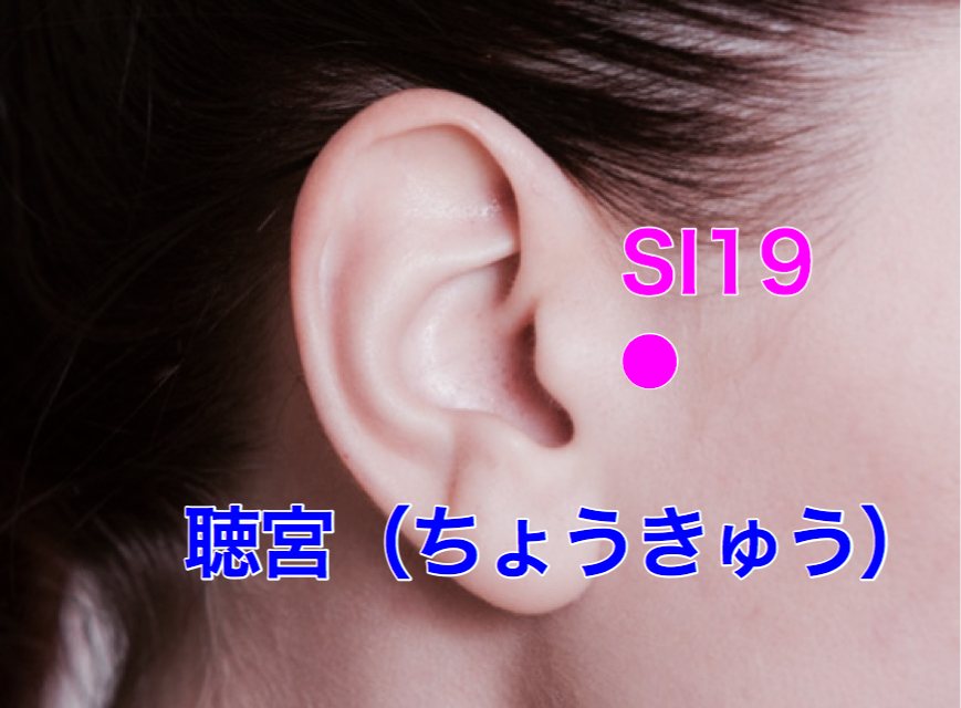 ツボ解説 聴宮