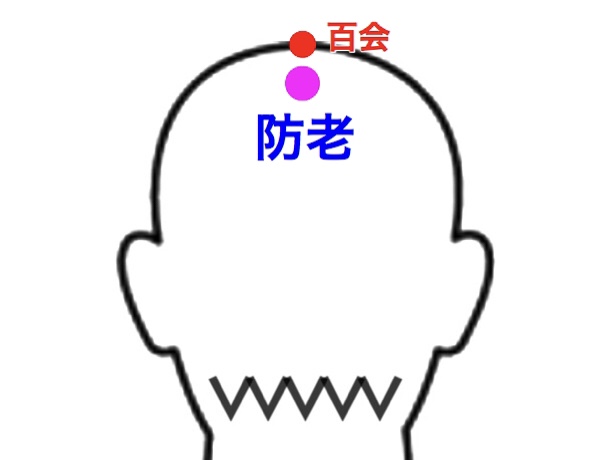 育毛ツボ 防老