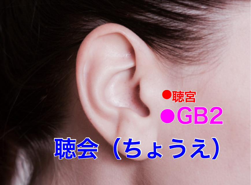 ツボ解説 聴会
